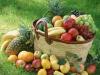 Стандарты для фруктов и овощей